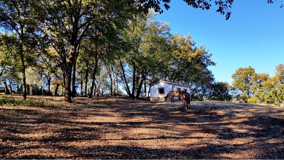 Finca La Liserilla Галароса Екстериор снимка