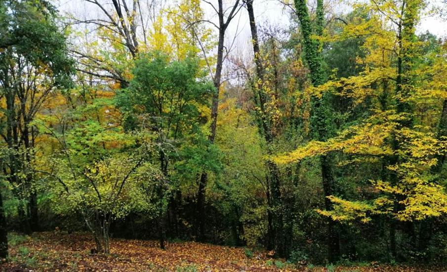 Finca La Liserilla Галароса Екстериор снимка